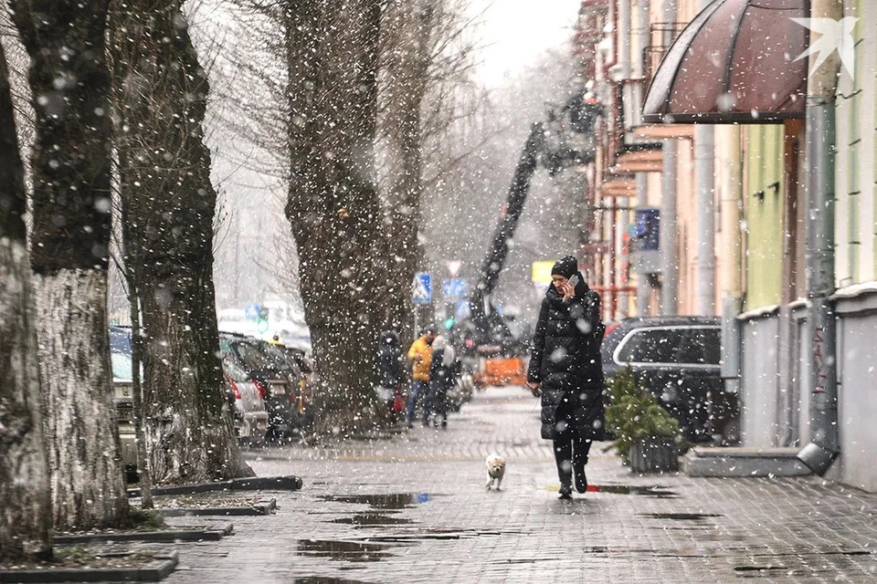 Синоптик Дмитрий Рябов озвучил предварительный прогноз, какой окажется зима в Беларуси. Снимок носит иллюстративный характер.