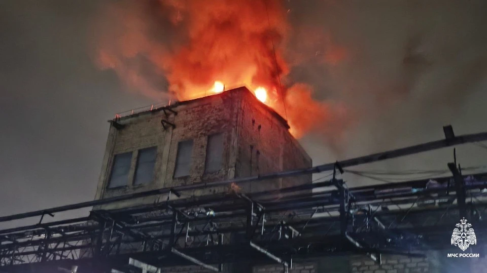 При пожаре никто не пострадал.