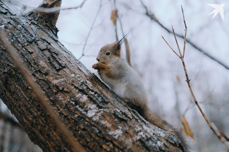 Прогноз погоды на выходные в Ижевске