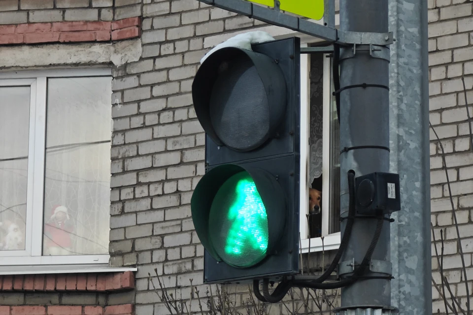 В Ульяновской области на пешеходном переходе сбили мальчика. Фото архив КП