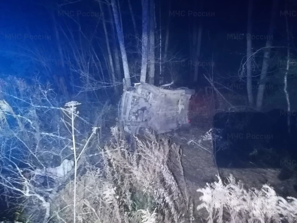 Фото: ГУ МЧС России по Владимирской области