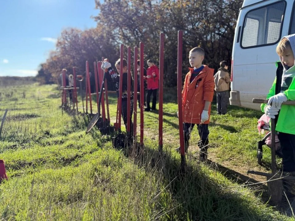 Юные севастопольцы помогают взрослым. Фото: sev.gov.ru