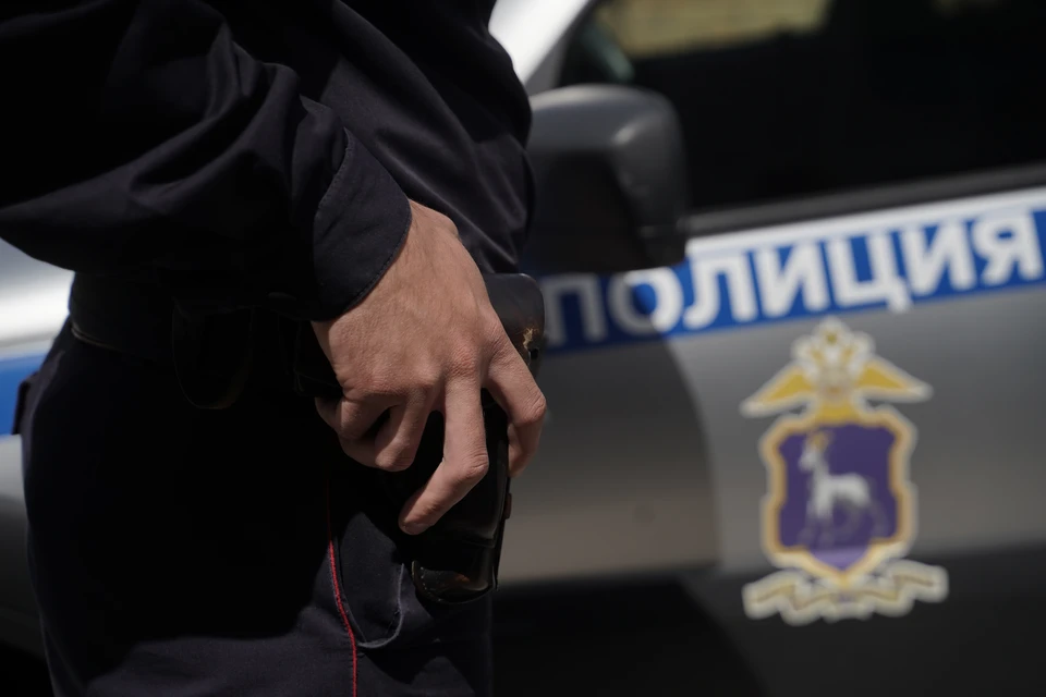 Полиция Петербурга задержала шестерых мужчин за совращение 13-летней девочки