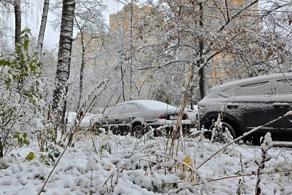 В Москве выпал первый снег