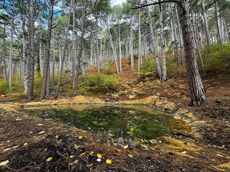 Также очистили переливочные желоба, чтобы наполнить нижний водоем.