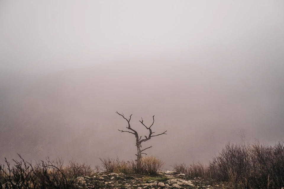 В Запорожье ожидают похолодание.