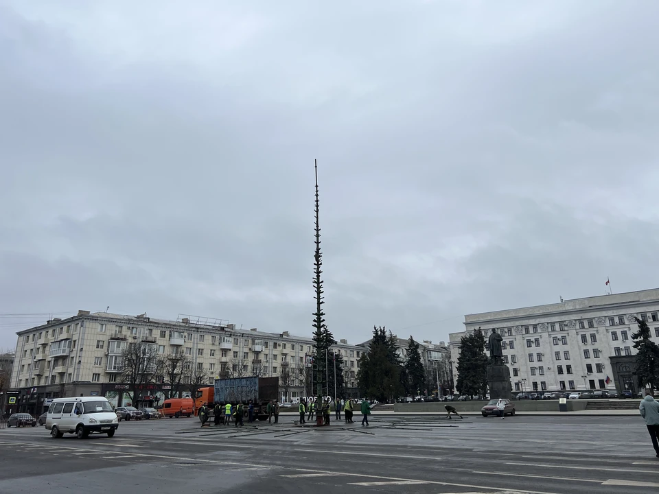 Ограничения связаны с установкой елки