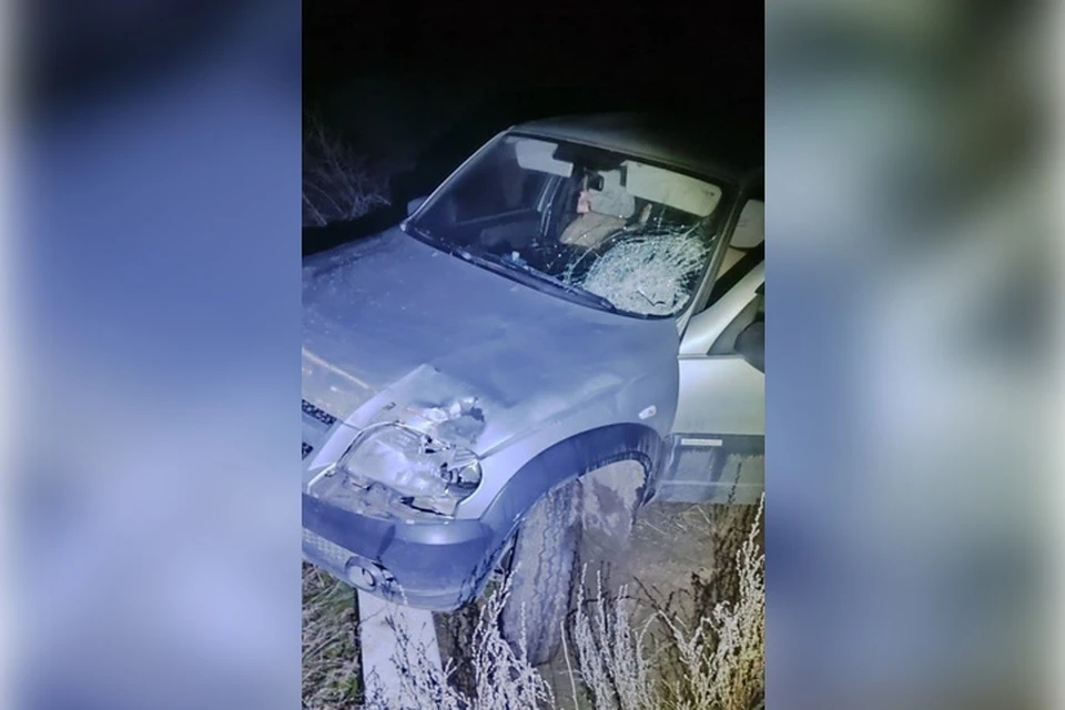 Водитель сбежал с места аварии. Фото: Пресс-служба МВД по Луганской Народной Республике