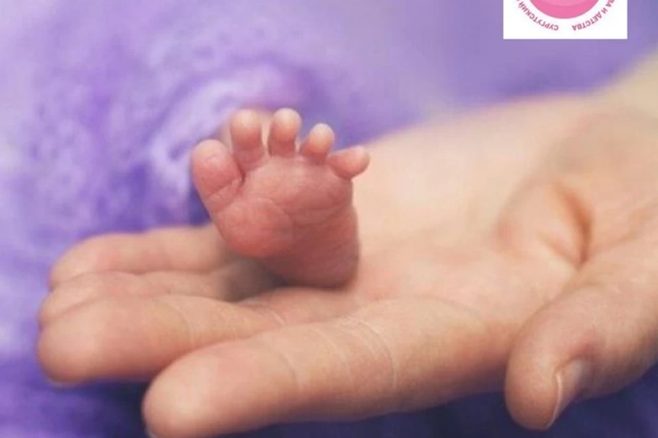 Фото: тг-канал Ларисы Белоцерковцевой