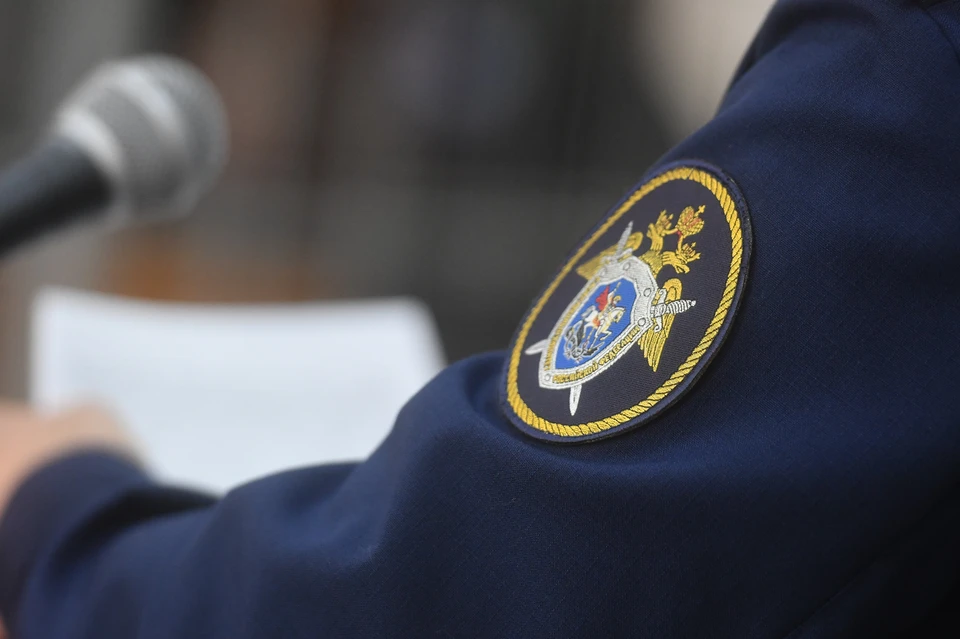 Уголовное дело завели после пожара на незаконной свалке на Московском шоссе