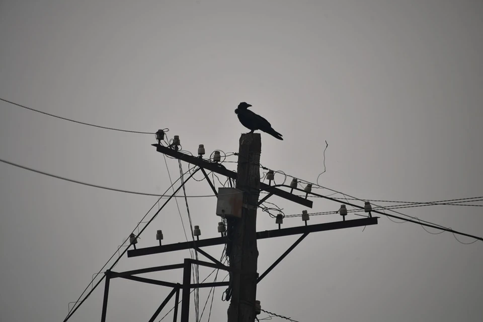 В ДНР из-за обстрелов ВСУ обесточены многие населенные пункты (архивное фото)