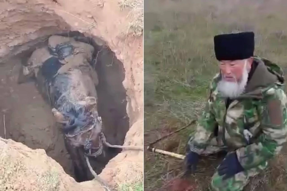 Всадник на лошади нашел древний склеп во время прогулки по полю. Фото: стоп-кадры видео