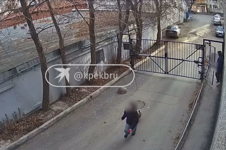 Обеспокоенные местные жители начали рассылать видео по родительским чатам. Фото: скриншот видео