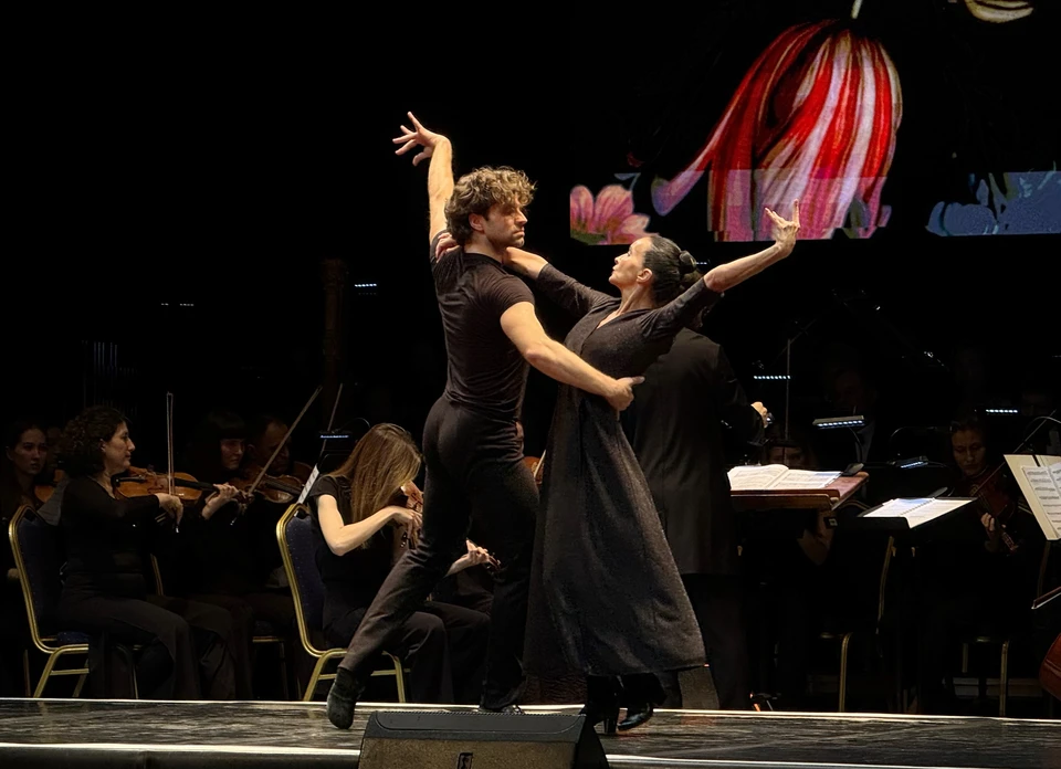 Нунча в Воронеже