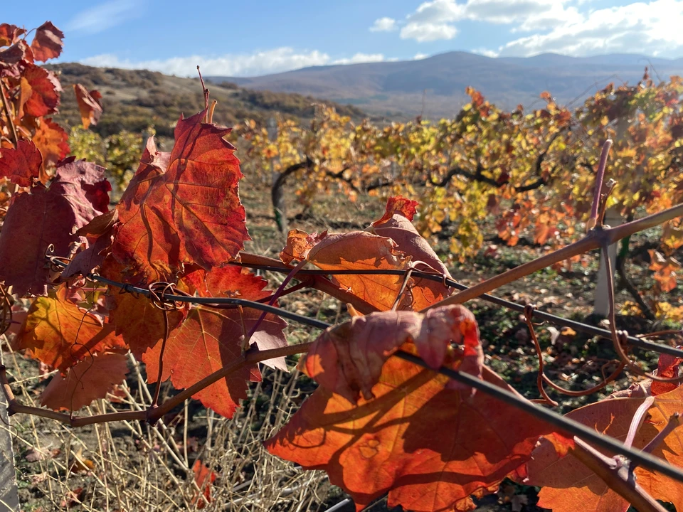 Ожидается повышение температуры