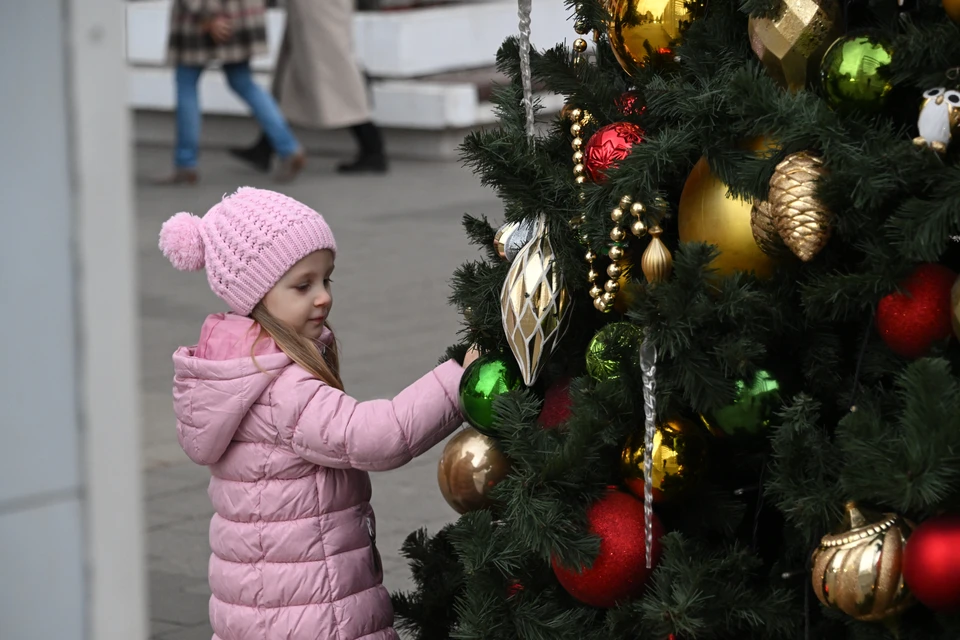 Новогодняя ночь в Ставрополе пройдет без салютов и массовых гуляний