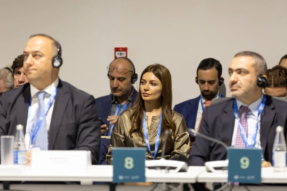 На конференции ООН по климату в Бразилии 13 человек отравились угарным газом Фото: UN Climate Change - Kiara Worth