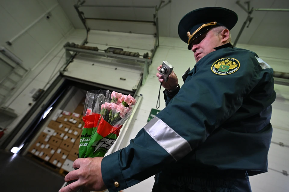 Больше 1300 зараженных подсолнухов не пустили в Приморье из Китая