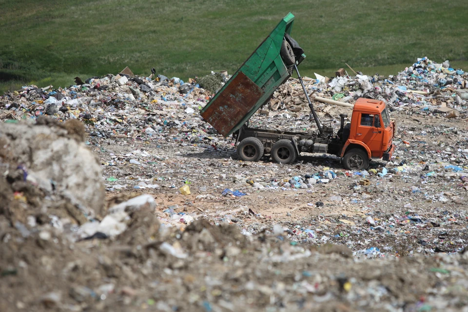 Нелегальные возчики наносят ущерб окружающей среде