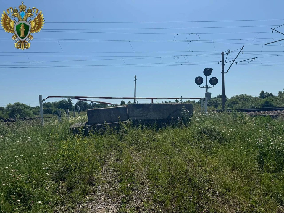 В Еврейской автономной области суд обязал РЖД открыть незаконно закрытый переезд Фото: Дальневосточная транспортная прокуратура