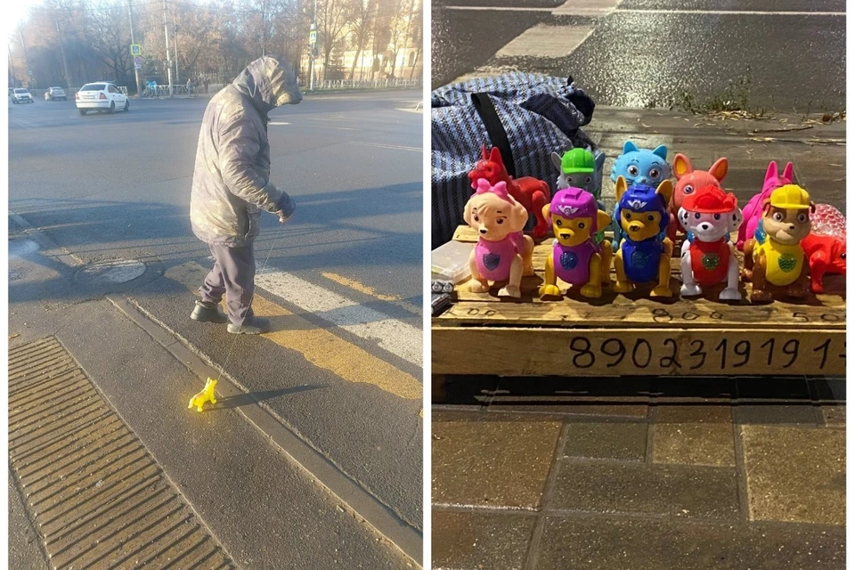 «Выгул» игрушечных собак оказался маркетинговым ходом. Фото: страницы VK «RZN LIFE» и «Рязань в курсе».