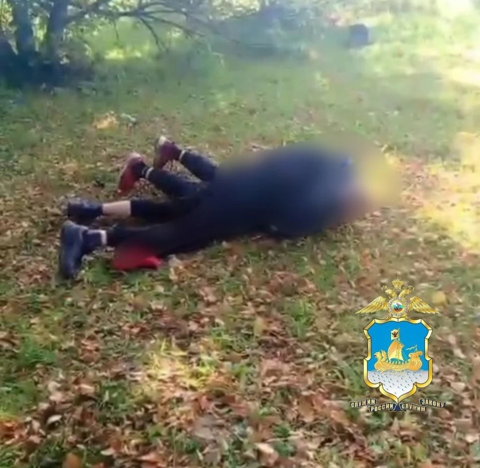 Источник: пресс-служба УМВД России по Костромской области