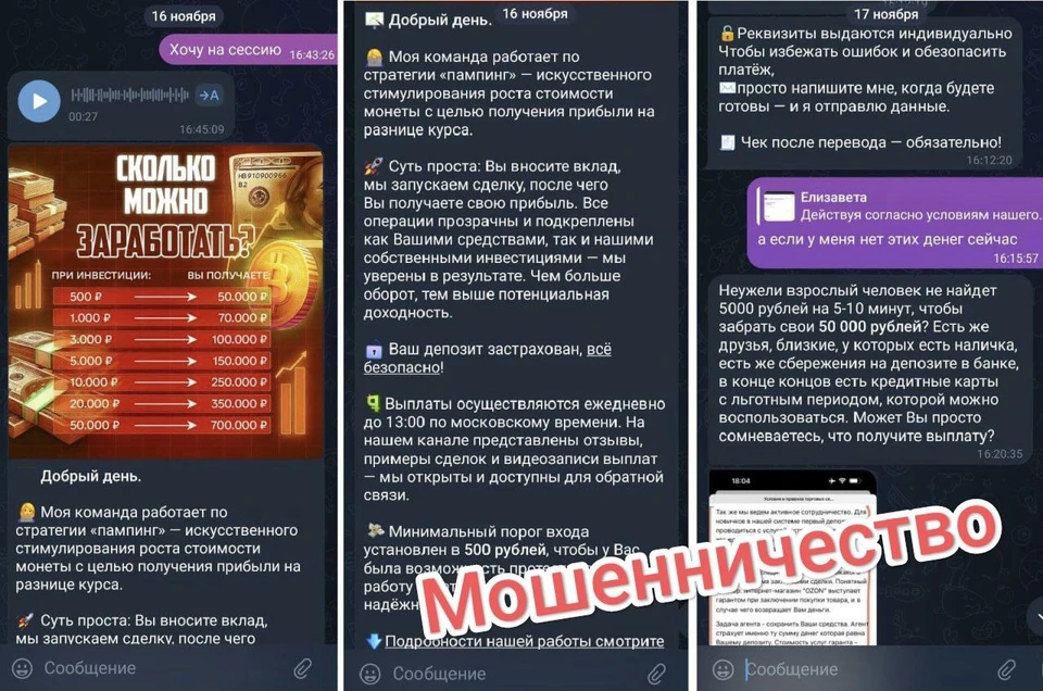 Фото: УМВД России по Омской области