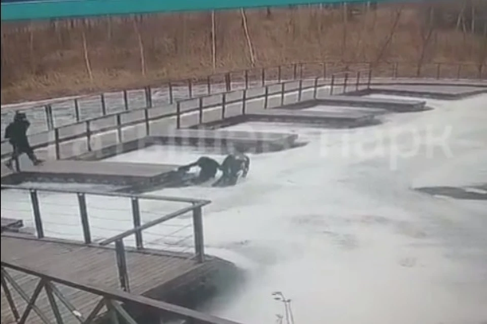 Фото: t.me/tatyshev_park