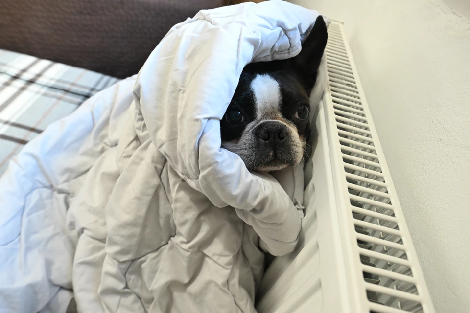 Более 10 улиц остались без отопления в Ессентуках