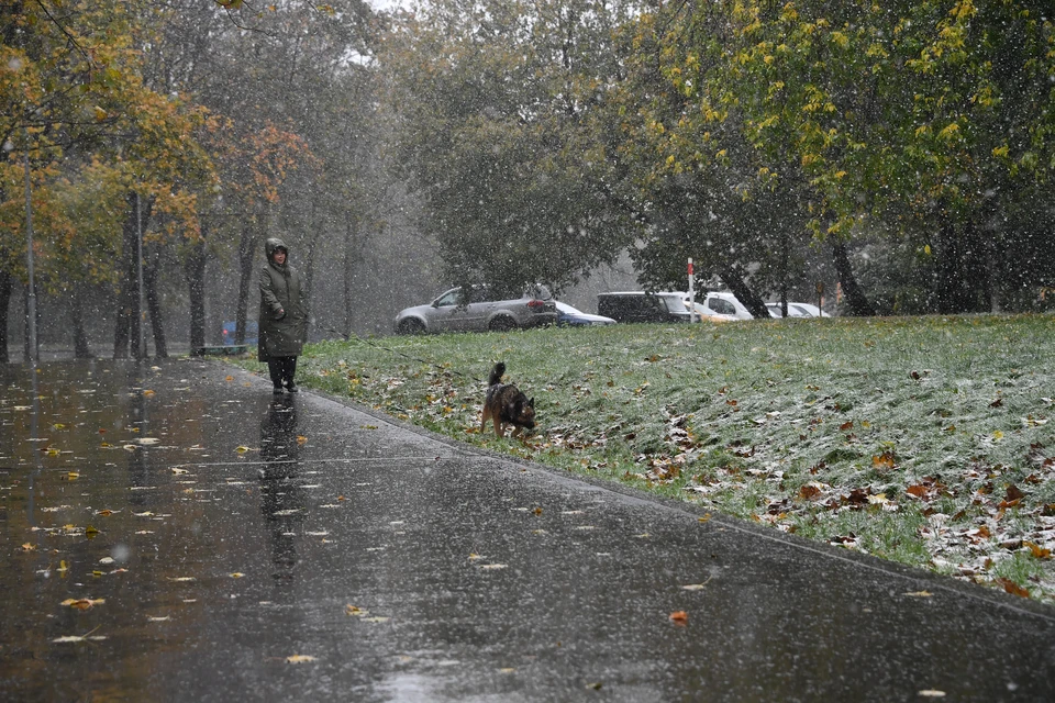 Эксперт Вахрушев рассказал, какой будет наступающая зима в Крыму