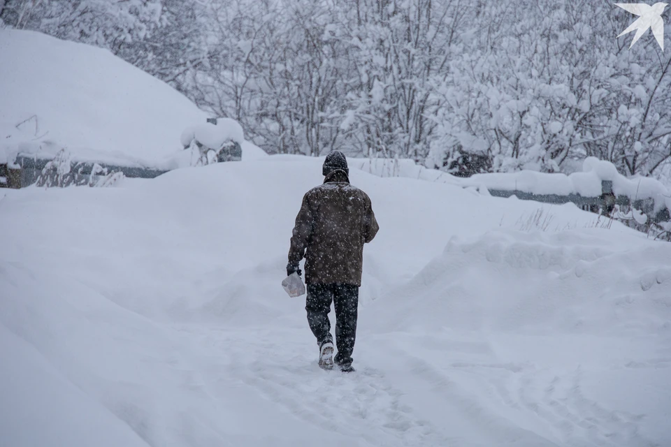 По данным синоптиков, ночью и утром 25 ноября 2025 года местами ожидается сильный снег, мороз.