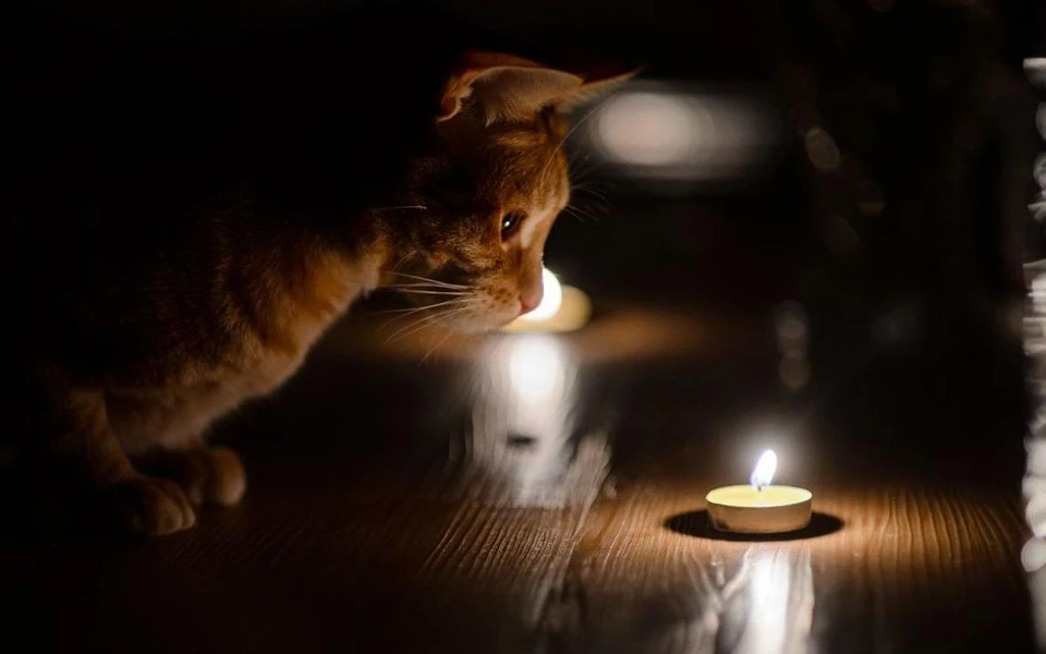 Тысячи жителей Кишинёва останутся на весь день без электричества. Фото:соцсети