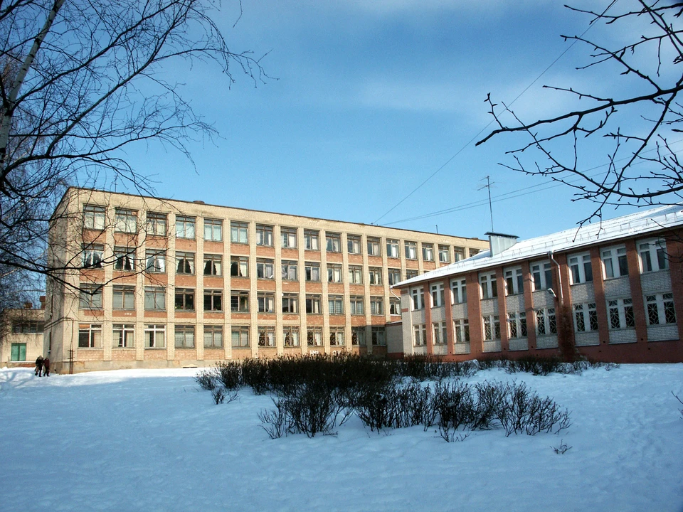 Фото: официальный сайт МОУ Лицей №41 города Костромы