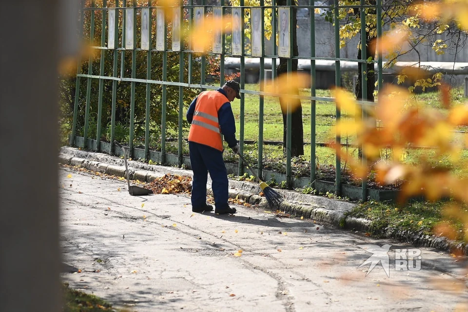 Спрос на дворников в Свердловской области вырос на 22%