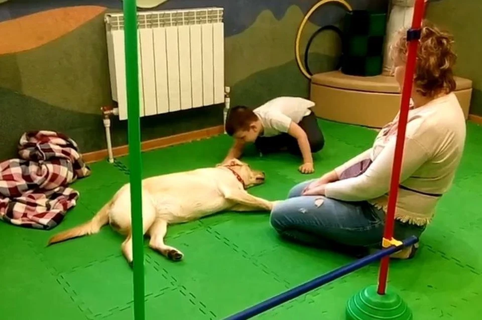 Илона Какичева вместе с лабрадором Евой бывают на праздниках в школах, в детских домах и даже в домах престарелых.