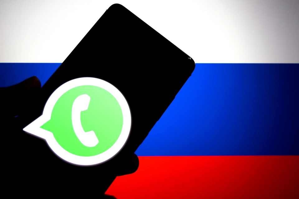 Депутат Немкин заявил, что блокировка WhatsApp* - вопрос времени