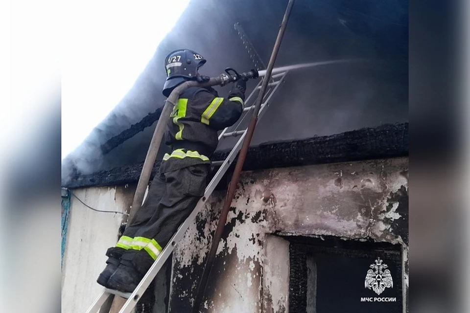 Два поджара произошло в регионе за минувший день. Фото: ГУ МЧС России по Запорожской области