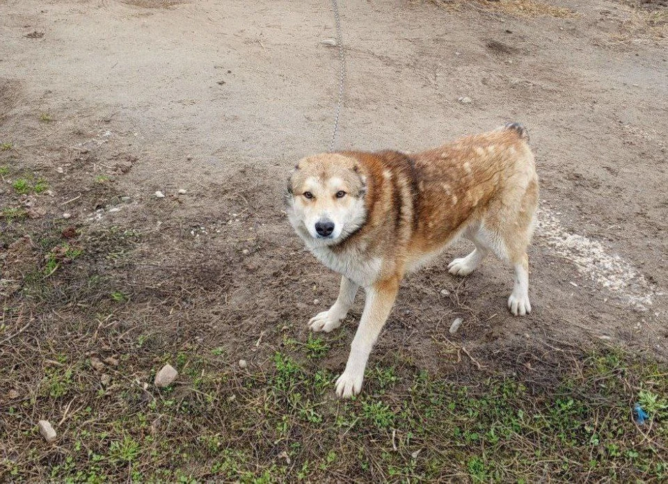 Фото: пресс-служба администрации города Костромы