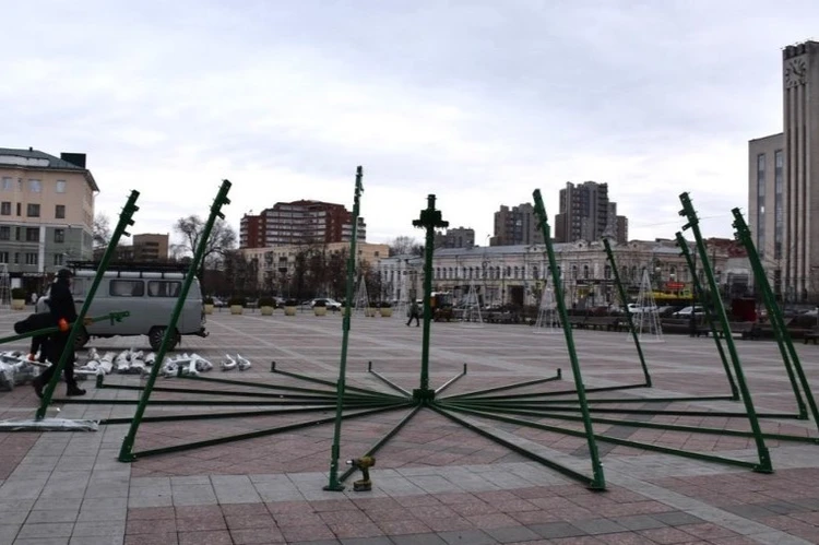 В Пензу приехала главная новогодняя елка