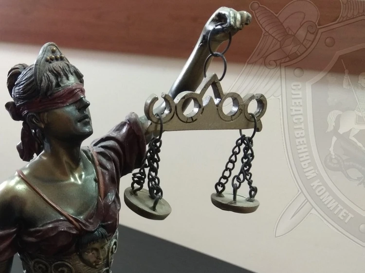 Удар в спину закону: костромич получил два года колонии за нападение на сотрудника Росгвардии