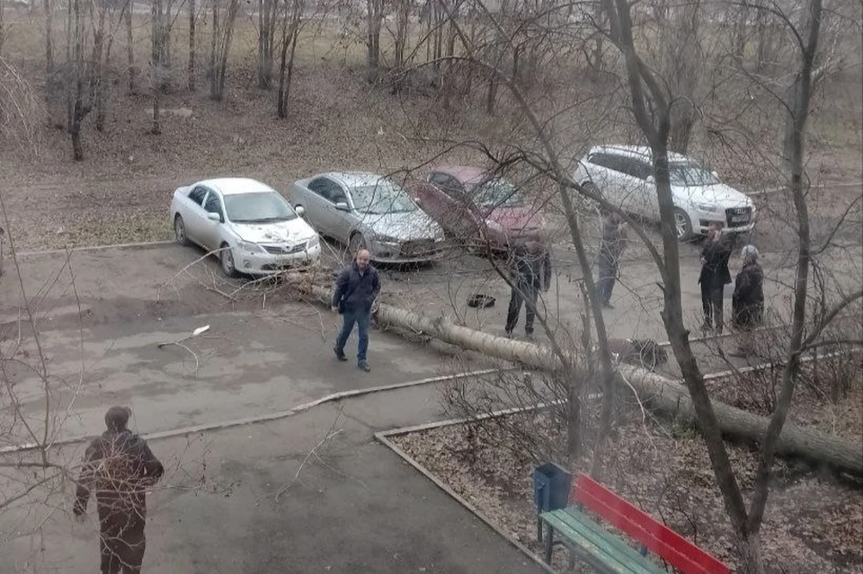 Пострадавшую увезли в больницу. Фото: тг-канал «Оренбург очевидец»