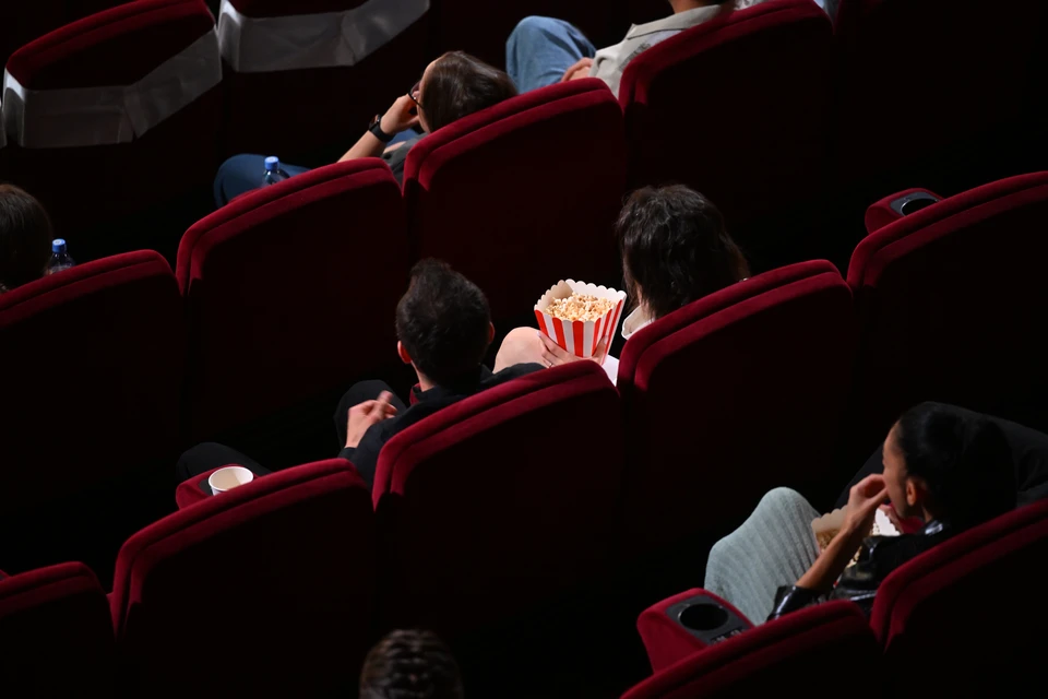 Депутат Казакова: в РФ запретят фильмы с дискредитацией традиционных ценностей