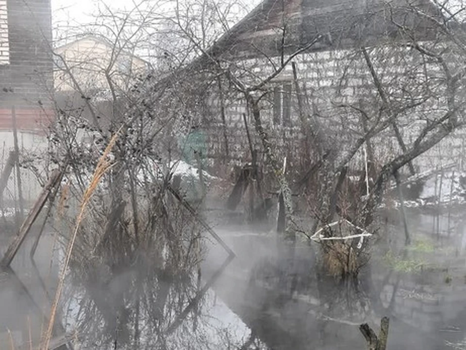 Фото: "КП в Костроме"