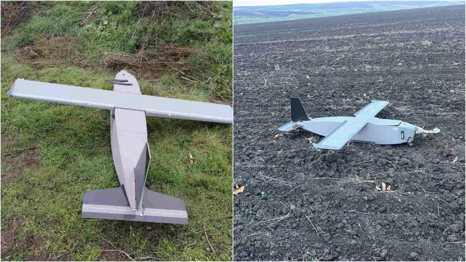 Фото: пресс-служба