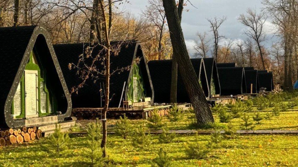 Фото: Дмитрий Чернышкин