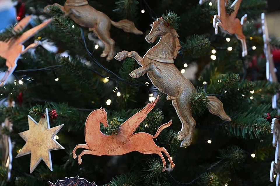 Одну елку - в одни руки!