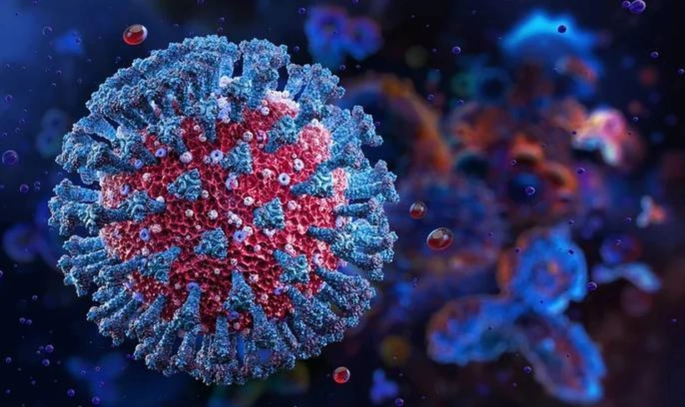 Вирус птичьего гриппа может вызвать более сокрушительную пандемию, чем коронавирус SARS-CoV-2. Фото:соцсети