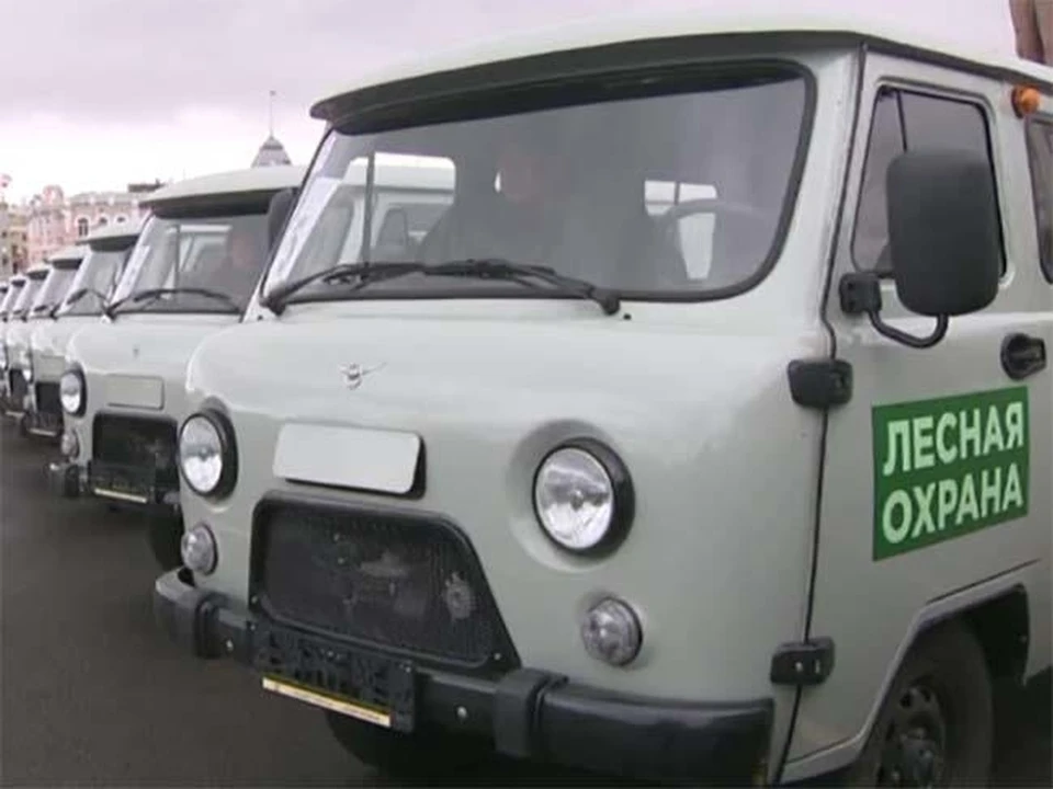 Использование спутниковой системы помогает в тушении лесных пожаров и выявлении незаконных рубок. Фото: rosleshoz.gov.ru