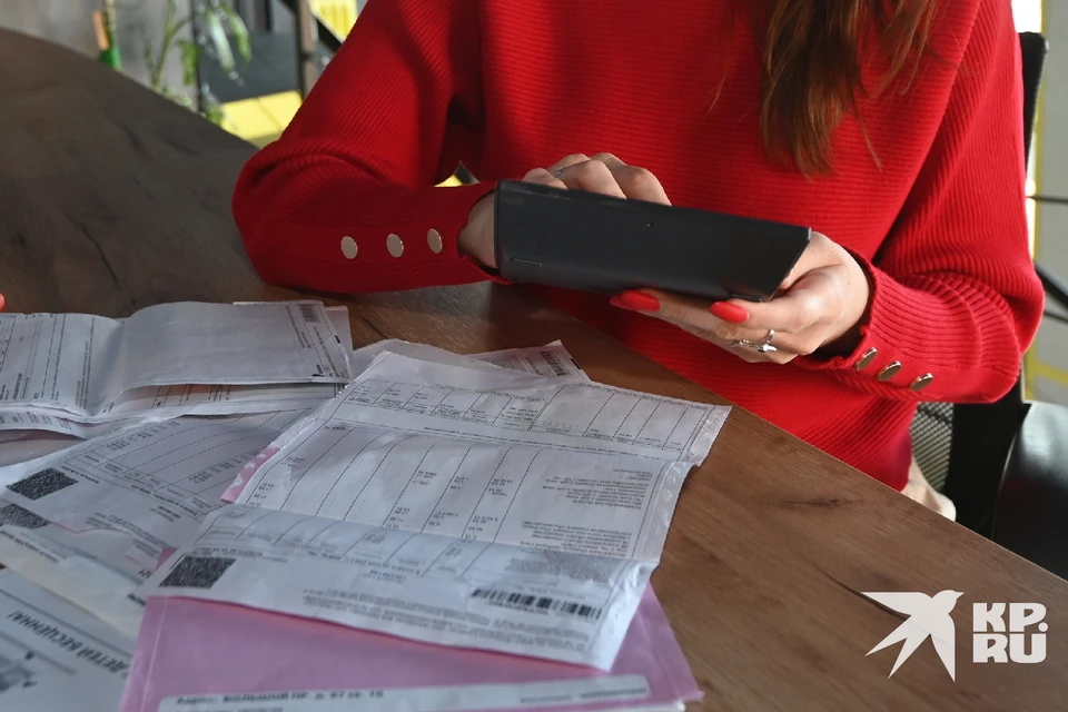 Рязанцам рассказали, как можно получить 3% кешбэка за оплату ЖКХ и детский сад.