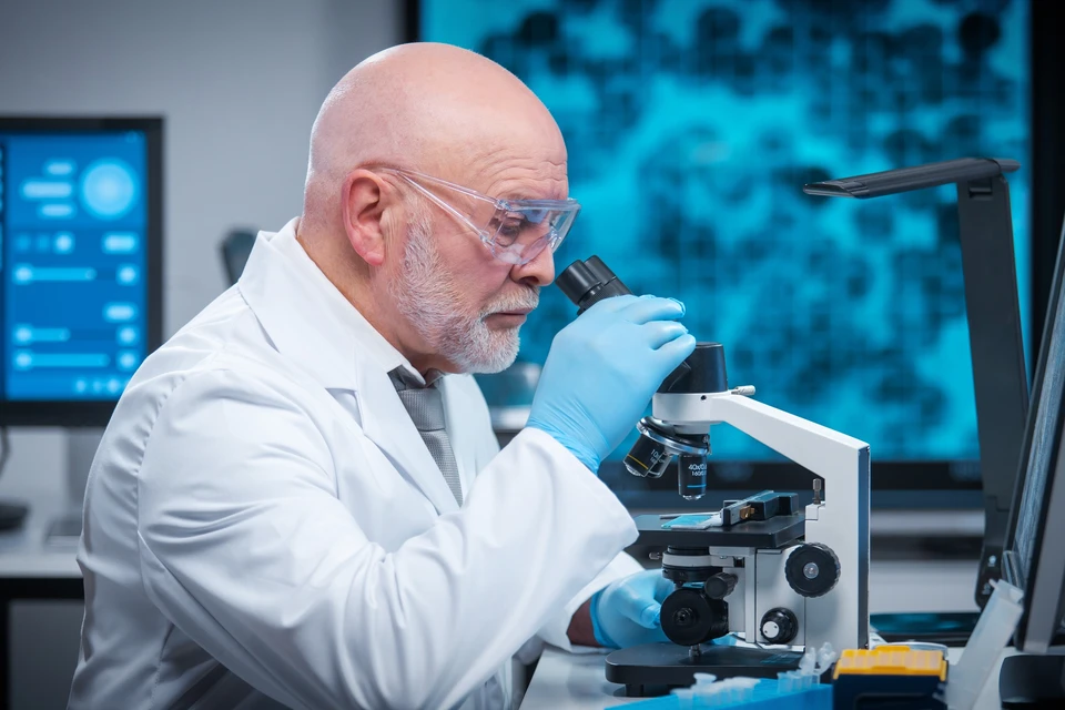 Черные грибы из Чернобыля питаются радиацией: Ученые придумали, как это использовать. Фото: Max Acronym/Shutterstock/Fotodom.